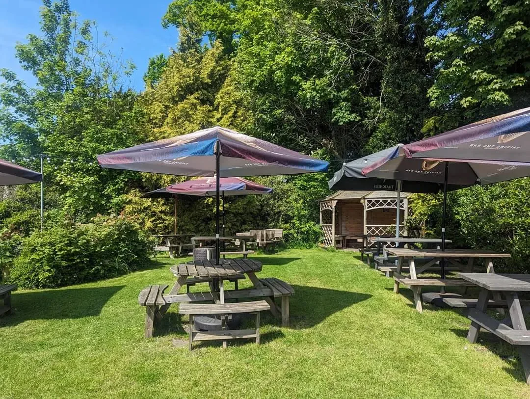 The beer garden in summer